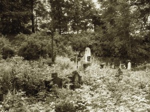 07 Hřbitov v zaniklé vsi Skoky Mariastock   